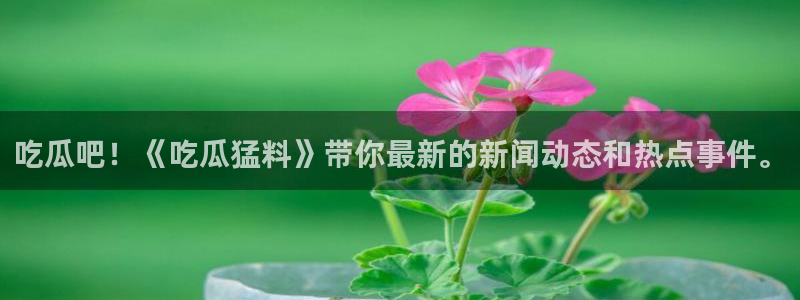 豆瓣自由吃瓜基地:吃瓜吧!《吃瓜猛料》带你最新的新闻动态和热点事件。