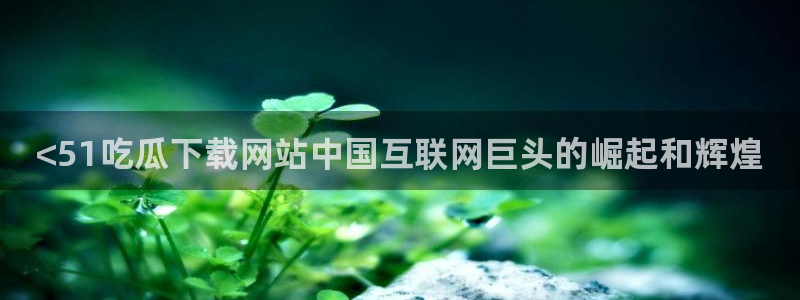 吃瓜爆料网不打烊回家:<51吃瓜下载网站中国互联网巨头的崛起和辉煌