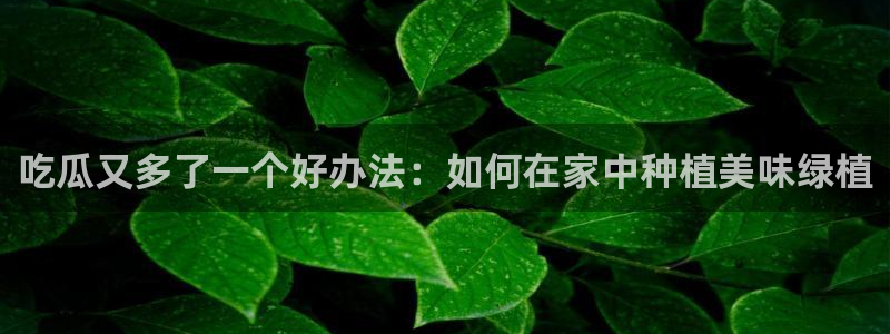 51吃瓜网今日吃瓜热门大瓜:吃瓜又多了一个好办法:如何在家中种植美味绿植