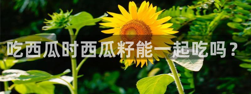 黑料下载:吃西瓜时西瓜籽能一起吃吗?